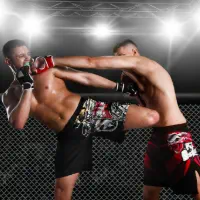 MMA