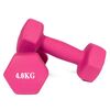 Neoprene dumbbells for bodybuilding and fitness (set of 2) | 2 x 4 KG