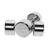Round chrome dumbbells (set of 2) | 2 x 10 KG