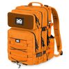 Backpack  DELTA, Colour: Orange, Volume: 45 L