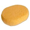 Ringside Training Sponge, Size: One Size, Colour: Beige