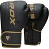 Boxing Gloves F6, Colour: Schwarz, OZ: 10oz