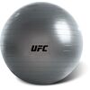 UFC Fitball - 55cm, Size: 55 cm, Colour: Silber