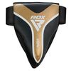 RDX Groin Guard Aura Plus T-17 Black/Golden-L+, Size: L, Colour: Gold
