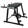 Hyperextensionsmaschine "Reverse Hyper Extension" GladiatorFit
