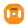 Pump rubber weight discs with Ø 31mm handles (set of 2) | 5 KG