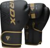 Gants de boxe RDX F6 Kara – Noir/Or – 10oz, Couleur: Noir, oz: 10oz