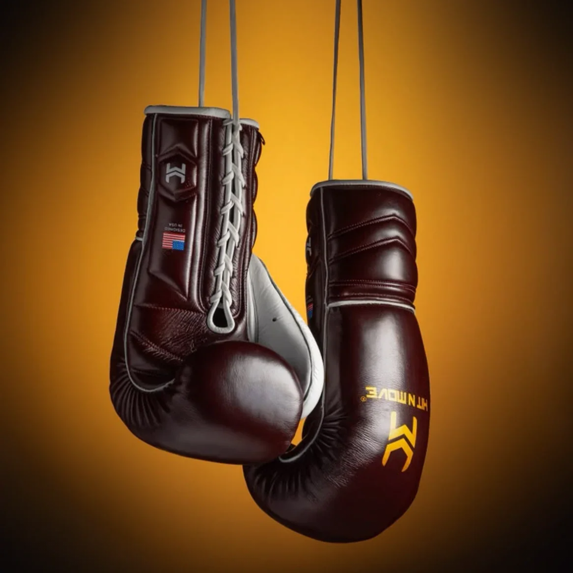 Boxing Gloves Vector HitnMove Wine 14oz