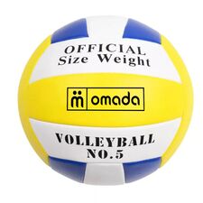 Volleyball for training and competition T5