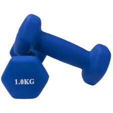Neoprene dumbbells for bodybuilding and fitness (set of 2) | 2 x 1 KG, Colour: Violett, Additional Weight: 1 kg