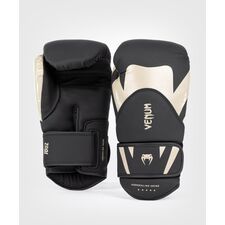 Boxhandschuhe Challenger 4.0, Farbe: Schwarz, OZ: 10oz
