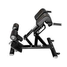 Adjustable steel weight bench for back and lumbar region Titan