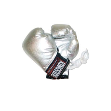 Ringside Miniature Bag Gloves, Size: One Size, Colour: Silber