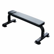 Titan Professional Flat Bench
