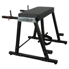 Machine hyperextension "Reverse Hyper Extension" GladiatorFit