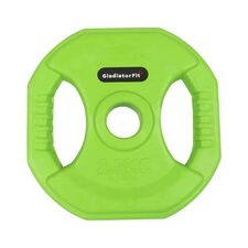 Pump rubber weight discs with Ø 31mm handles (set of 2) | 2.5 KG, Colour: Green, Additional Weight: 2.5 kg