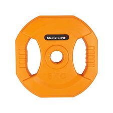 Pump rubber weight discs with Ø 31mm handles (set of 2) | 5 KG