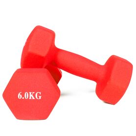 GL-7640344753458-Neoprene coated dumbbells for bodybuilding and fitness (Set of 2) | 2 x 6 KG
