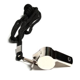 GL-7640344754103-Stainless steel referee whistle with lanyard
