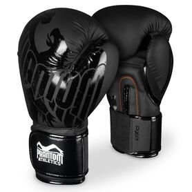 PHBG2323-10-Boxing gloves German Eagle