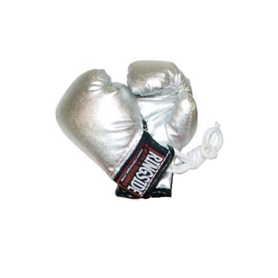 RSMBG SILVE-Ringside Miniature Bag Gloves