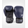 VE-04929-198-10OZ-Venum Power 2.0 Boxing Gloves - Navy Blue/Black - 10 Oz