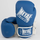 Boxing Gloves, Colour: Blue, OZ: 10oz
