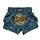 Muay Thai Shorts Fairtex Clubber, Bekleidungsgrösse: L, Farbe: Blau