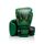 Gants de boxe Fairtex BGV – Resurrection – 10oz, Couleur: Vert, oz: 10oz