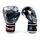 Gants de boxe Twins Nagas Argent/Noir – 12oz, Couleur: Argente, oz: 12oz