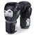 Boxhandschuhe Elite ATF, Farbe: Schwarz, OZ: 10oz