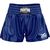 Muay Thai Shorts Team, Size: 2XL, Colour: Blue