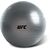 UFC Fitball - 55cm, Bekleidungsgrösse: 55 cm, Farbe: Silber