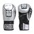 Ringside Apex Flash Sparring Gloves, Couleur: Argente, OZ: 14oz