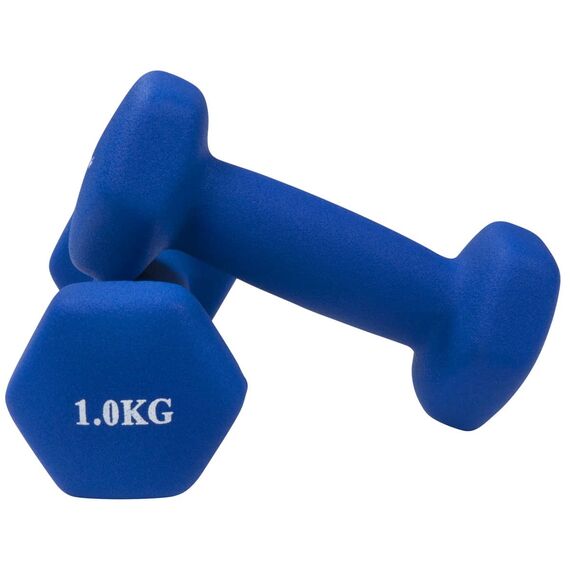 Neoprenhanteln Bodybuilding und Fitness (2er-Set) | 2 x 1 KG, Farbe: Violett, Zusatzgewicht: 1 kg