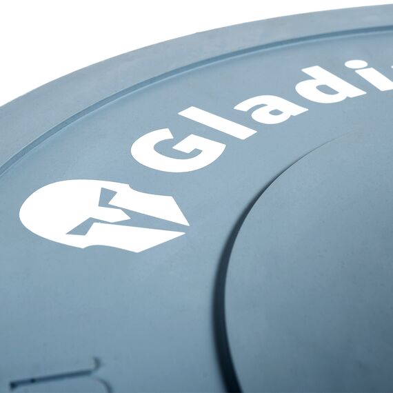 Competition rubber disc "Bumper Plate" Ø 51mm | 5 KG, Colour: Grey, Additional Weight: 5 kg, 3 image