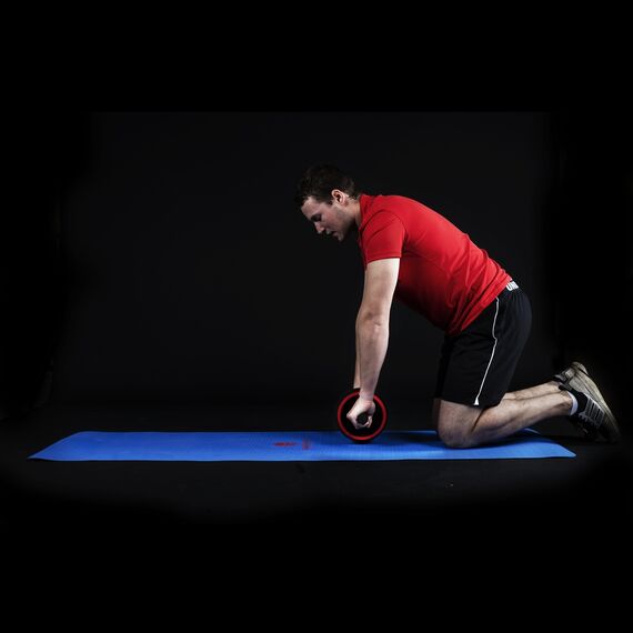 Ab Wheel + Knee Mat, 3 image