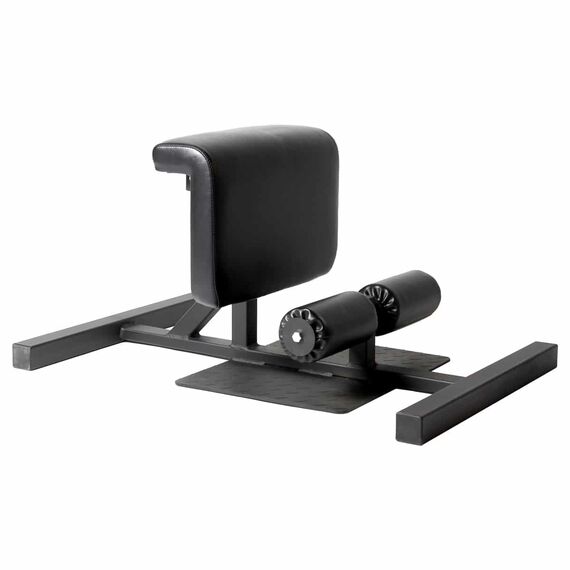 Multifunctional steel sissy squat machine
