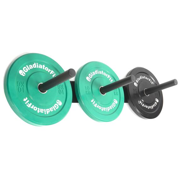 Wall-mounted steel storage rack for Ø 51mm discs GladiatorFit