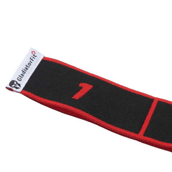 Bande élastique en polyester avec différentes résistances JustFit | Rouge, Couleur: Rouge, 4 image