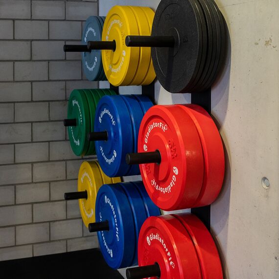 Wall-mounted steel storage rack for Ø 51mm discs GladiatorFit, 7 image