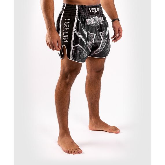 Short de Muay Thai Venum GLDTR 4.0, Couleur: Noir, Taille ne pas utiliser: L, 4 image