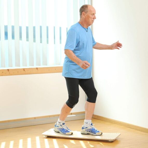 Swing-Board" balance board Pedalo, 4 image