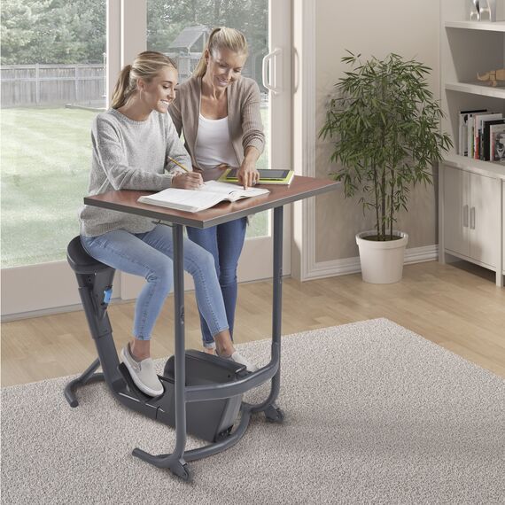 LifeSpan Unity" desk bike LifeSpan Fitness, 5 image