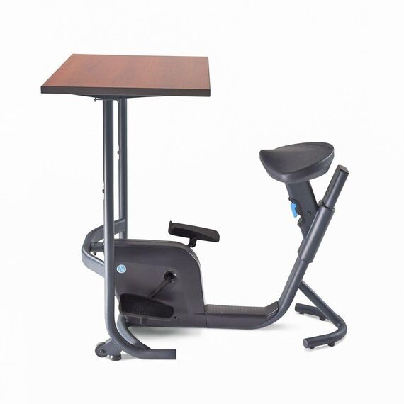 LifeSpan Unity" desk bike LifeSpan Fitness