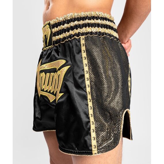 Muay Thai Shorts Absolute 2.0, Bekleidungsgrösse: M, Farbe: Schwarz, 4 image