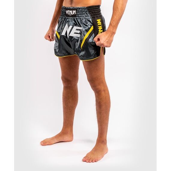 Short de Muay Thai Venum ONE FC Impact, Couleur: Gris, Taille ne pas utiliser: S, 2 image
