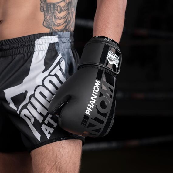 Boxing gloves APEX, Colour: Schwarz, OZ: 12oz, 3 image