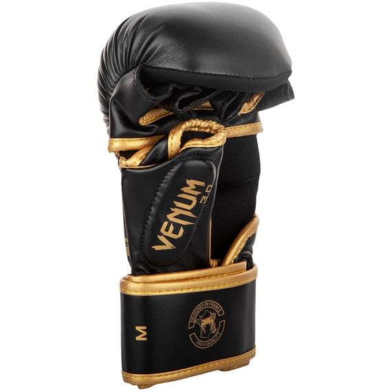 MMA Sparring Handschue Challenger 3.0, Farbe: Gold, Grösse : S, 4 image