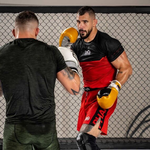 Fightshorts EVO Apex, Bekleidungsgrösse: L, Farbe: Rot, 4 image